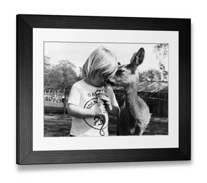 Framed Print : Bambi the deer and little girl Samantha. July 1977 P011901