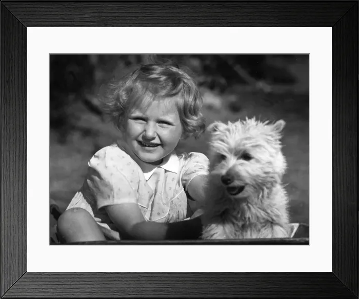 Framed Print : Young girl sitting with dog. c. 1945 P044484 Framed Print : Young girl sitting with dog. c. 1945 P044484