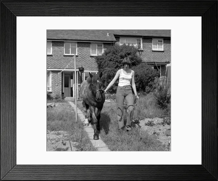 Framed Print : Sam the pet pony walking through his owners house to get through to his luxury stable Framed Print : Sam the pet pony walking through his owners house to get through to his luxury stable