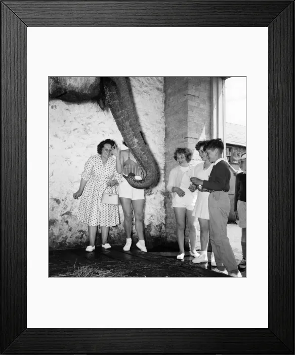 Framed Print : Bultins Holiday Pwllheli: Mrs. Nellie McGrail, Pools Winner Framed Print : Bultins Holiday Pwllheli: Mrs. Nellie McGrail, Pools Winner