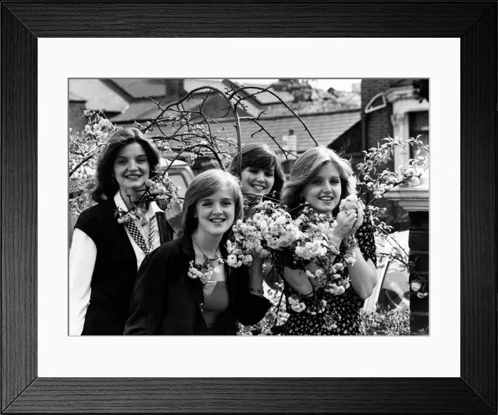 Framed Print : Anne, left, Bernadette, maureen and Linda enjoy the apple blossom. May 1979 P009920