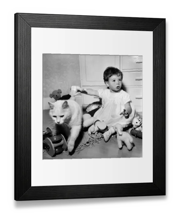 Framed Print : Baby and Cat: Karen at home with cats at the sink with nappies etc