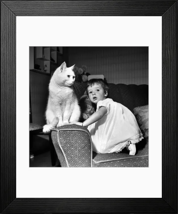 Framed Print : Baby and Cat: Karen at home with cats at the sink with nappies etc Framed Print : Baby and Cat: Karen at home with cats at the sink with nappies etc