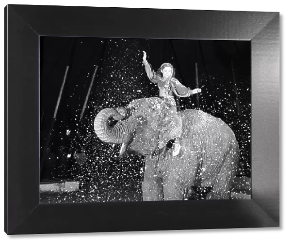 Entertainments: Circus Animals. Birmia the ten year old female elephant is the '