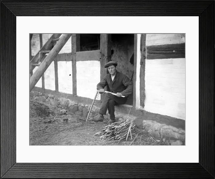 Framed Print : Thatcher at work at writer Izaak Waltons cottage in the village of Shallowford July Framed Print : Thatcher at work at writer Izaak Waltons cottage in the village of Shallowford July