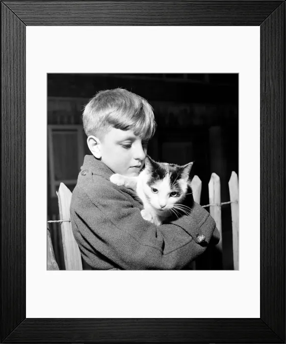 Framed Print : Young boy with his pet cat. November 1953 D6875 Framed Print : Young boy with his pet cat. November 1953 D6875