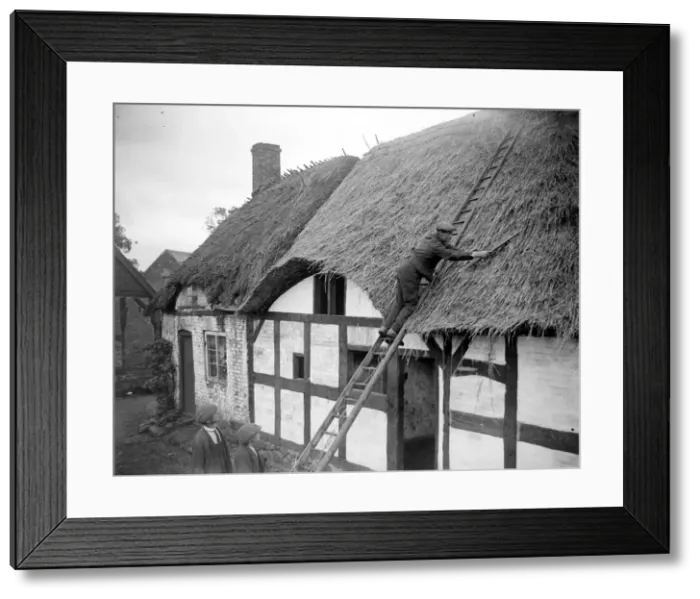 Framed Print : Thatcher at work on the roof of writer Izaak Walton Framed Print : Thatcher at work on the roof of writer Izaak Walton
