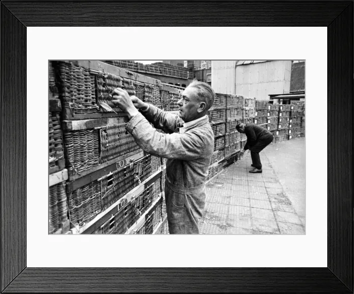 Framed Print : Racing pigeons to race to Belgium, staying in Whitbreads Brewery, Chiswell Street, EC1