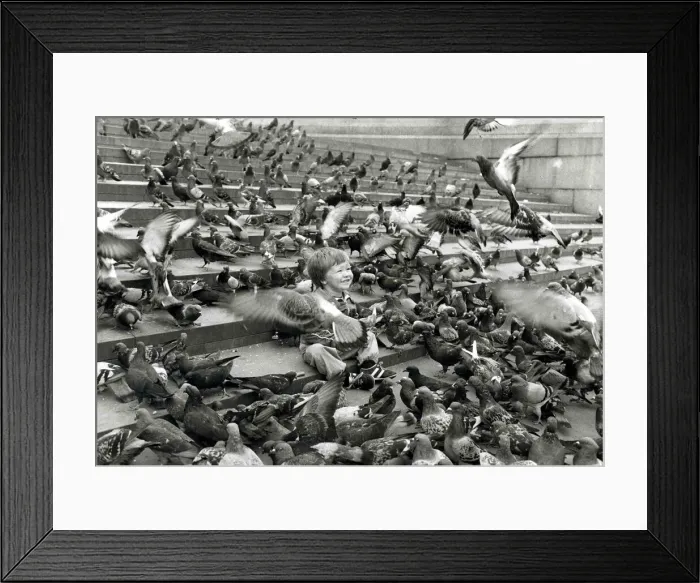 Framed Print : John Milller surrounded by pigeons in Trafalger Square. September 30th 1983 Framed Print : John Milller surrounded by pigeons in Trafalger Square. September 30th 1983