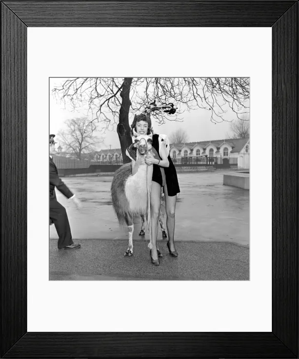 Framed Print : Three show girls who have been engaged by Jack Hiltons Circus at the Earl Framed Print : Three show girls who have been engaged by Jack Hiltons Circus at the Earl