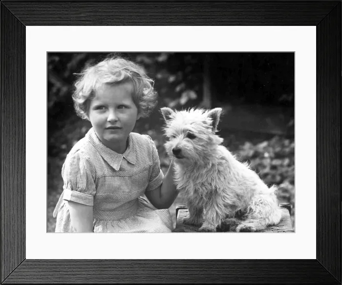 Framed Print : Young girl sitting with dog. c. 1945 P044480 Framed Print : Young girl sitting with dog. c. 1945 P044480