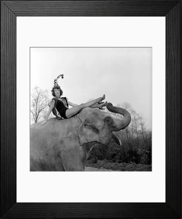 Framed Print : Three show girls who have been engaged by Jack Hiltons Circus at the Earl Framed Print : Three show girls who have been engaged by Jack Hiltons Circus at the Earl