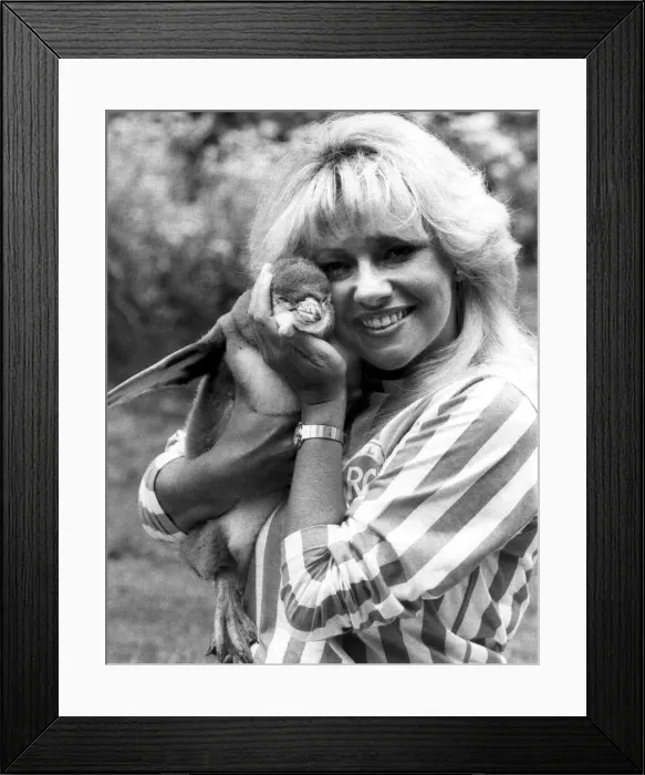 Framed Print : Singer Stephanie Lawrence with Pearl the Penguin who she sponsors Framed Print : Singer Stephanie Lawrence with Pearl the Penguin who she sponsors
