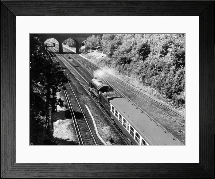Framed Print : A beautiful summers day as an express gallops along the Southern Region four-track Framed Print : A beautiful summers day as an express gallops along the Southern Region four-track