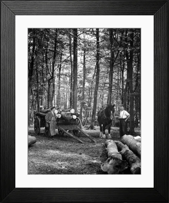Framed Print : Character Studies. Sam Rockall and his carter at Summer Common Framed Print : Character Studies. Sam Rockall and his carter at Summer Common