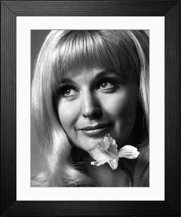Framed Print : Nyree Dawn-Porter, star of B. B. C. 2s Forsthye Saga. March 1967 P009644 Framed Print : Nyree Dawn-Porter, star of B. B. C. 2s Forsthye Saga. March 1967 P009644