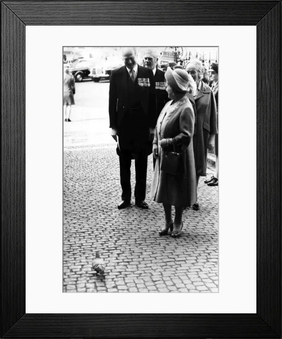 Framed Print : A pigeon brings proceedings to a halt, much to the amusement of the Queen Mother Framed Print : A pigeon brings proceedings to a halt, much to the amusement of the Queen Mother