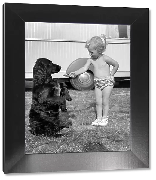 Children and animals friendship. Mr. and Mrs. R. Smart, holds up Rinty, the Spaniel