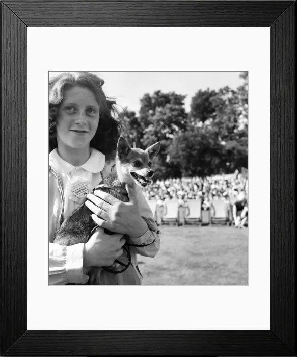Framed Print : Animals: Dogs: Owners and contestants seen here talking part in The Daily Mirror Dog Show Framed Print : Animals: Dogs: Owners and contestants seen here talking part in The Daily Mirror Dog Show