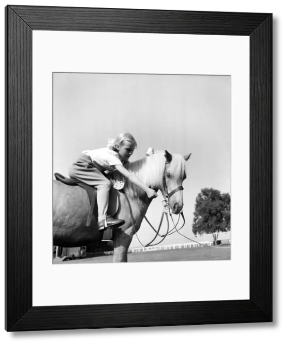 Framed Print : Children: Animals. Welsh Pony gets reward. 6 year old Mary Peddie of Tring sharing her Framed Print : Children: Animals. Welsh Pony gets reward. 6 year old Mary Peddie of Tring sharing her