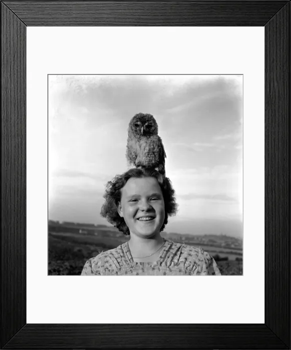 Framed Print : Birds Humour. On me ead son. Kathleen Goddard seen with Toby the owl perch Framed Print : Birds Humour. On me ead son. Kathleen Goddard seen with Toby the owl perch