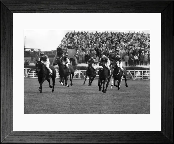 Framed Print : Horses straightening up after jumping the Canal Turn for the last time during the Grand Framed Print : Horses straightening up after jumping the Canal Turn for the last time during the Grand