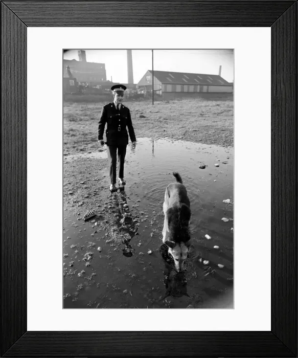 Framed Print : Police man and dog search for a man on the run at Droylsden Framed Print : Police man and dog search for a man on the run at Droylsden