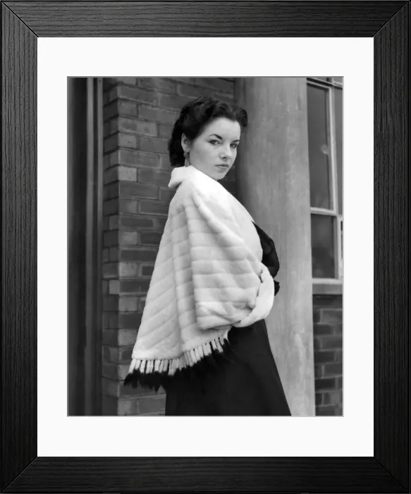 Framed Print : An Ermaleen'tippet trimmed with natural tails and complete with muff Framed Print : An Ermaleen'tippet trimmed with natural tails and complete with muff