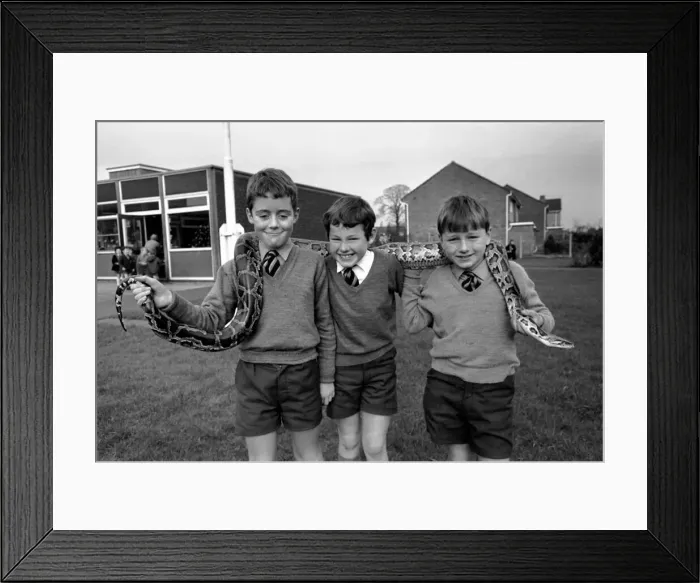 Framed Print : After giving the children at Wellgreen Primary School, Hale, a lecture on wild animals Framed Print : After giving the children at Wellgreen Primary School, Hale, a lecture on wild animals