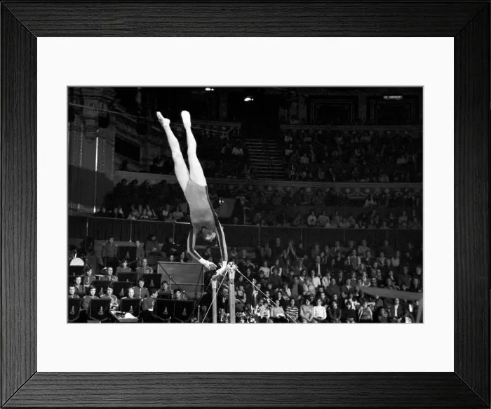 Framed Print : Champions Cup at the National Gymnastics Tournament at The Royal Albert Hall Framed Print : Champions Cup at the National Gymnastics Tournament at The Royal Albert Hall