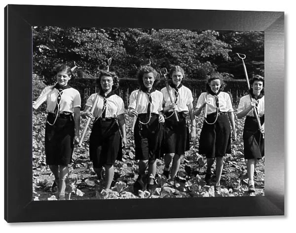 World War II Women. Sutton Sea Rangers become land workers