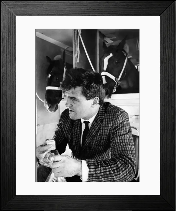 Framed Print : Flying with the horses Harvey Smith, who would rather travel with his two horses Madison Framed Print : Flying with the horses Harvey Smith, who would rather travel with his two horses Madison