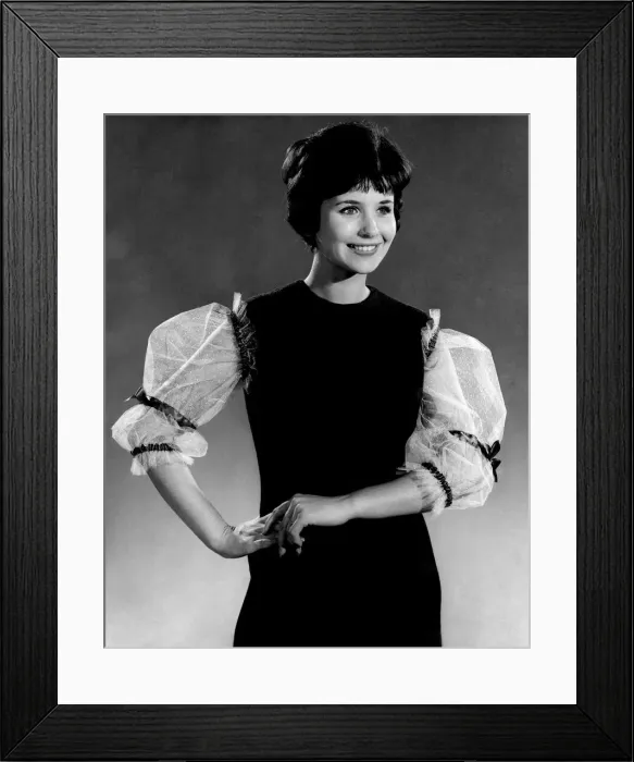 Framed Print : Reveille Fashions. Anne Cave. December 1961 P008809