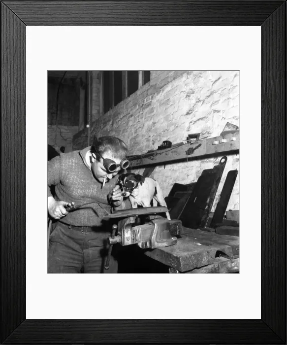 Framed Print : Despite every discouragement given to his mongrel pup Lucky, Syd Lee Framed Print : Despite every discouragement given to his mongrel pup Lucky, Syd Lee