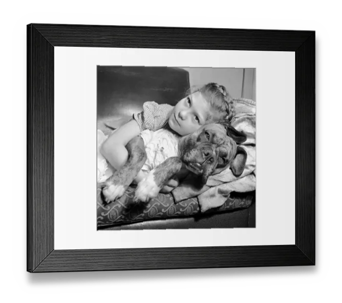 Framed Print : Girl lying down on the sofa with a boxer dog. December 1953 D7354-001 Framed Print : Girl lying down on the sofa with a boxer dog. December 1953 D7354-001