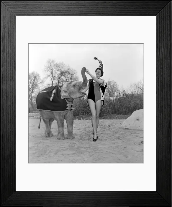 Framed Print : Three show girls who have been engaged by Jack Hiltons Circus at the Earl Framed Print : Three show girls who have been engaged by Jack Hiltons Circus at the Earl