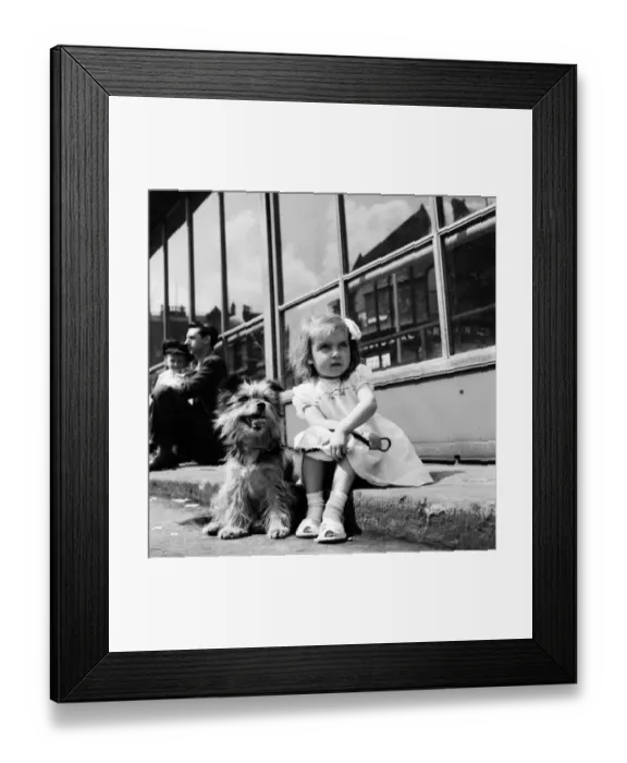 Framed Print : Whit Walks Manchester: The little girl who brought her dog along to walk in the Whit Framed Print : Whit Walks Manchester: The little girl who brought her dog along to walk in the Whit
