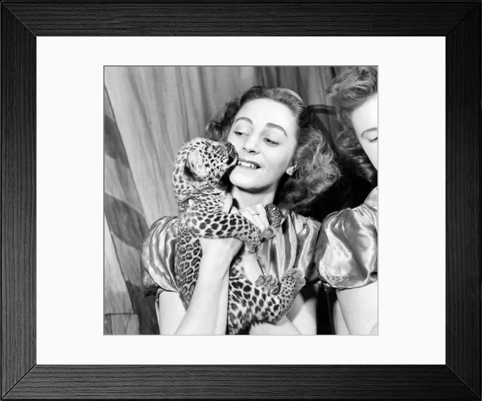 Framed Print : The arrival of two leopard cubs in Roberts Bros Travelling Circus Framed Print : The arrival of two leopard cubs in Roberts Bros Travelling Circus