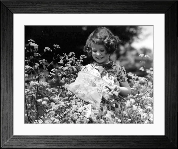 Framed Print : Young girl catching butterflies using a net in the back garden Circa 1945