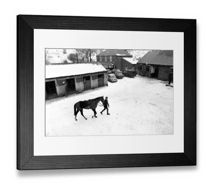 Framed Print : Red Alligator led out by 21 yr old Brian Fletcher who rode him to victory at trainer