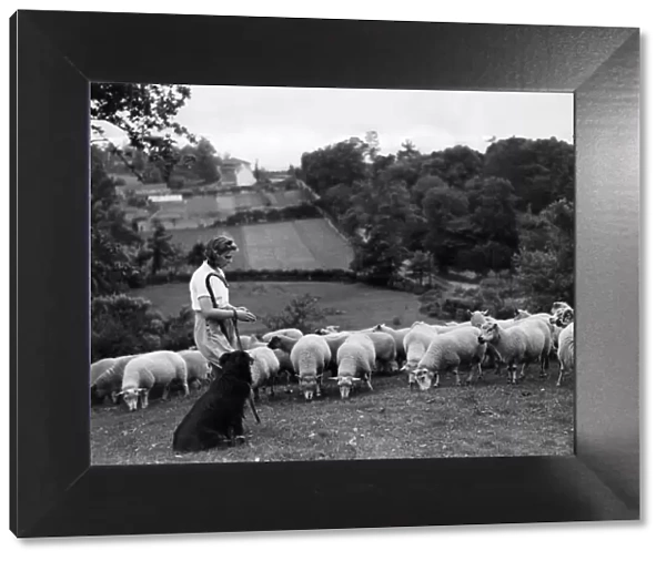 At prayer in the fields. Miss Eileen Foot, girl shepherdess of Almondsbury, near Bristol