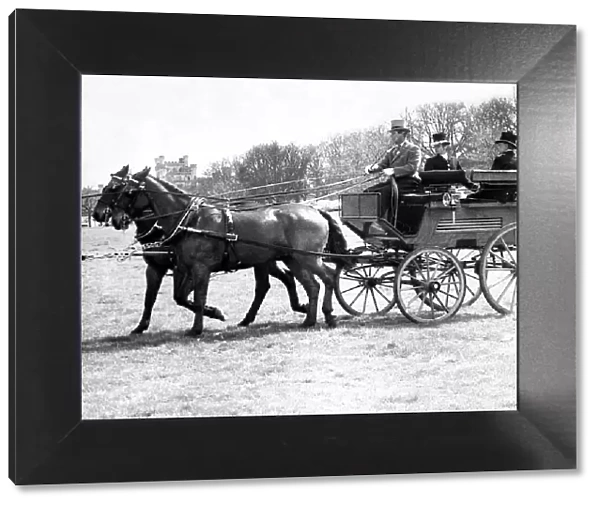 Prince Phillip indulging in one of his favourite pastimes carriage driving