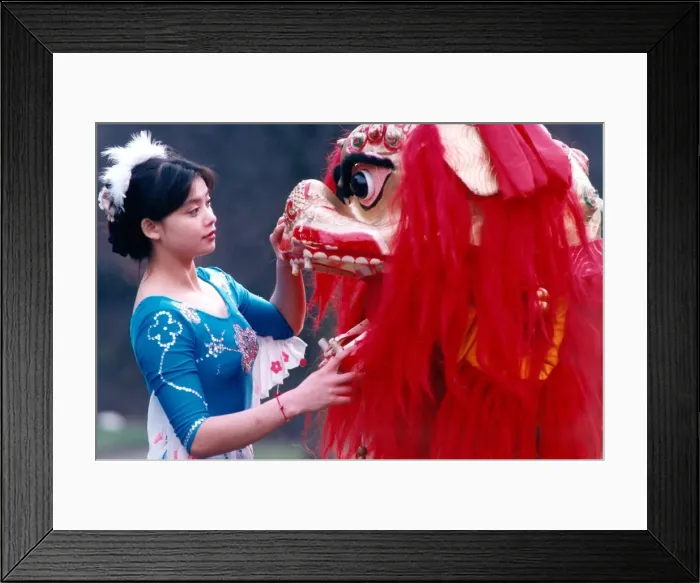 Framed Print : Zhang Chun Li of the Chinese State Circus with the dragon Framed Print : Zhang Chun Li of the Chinese State Circus with the dragon