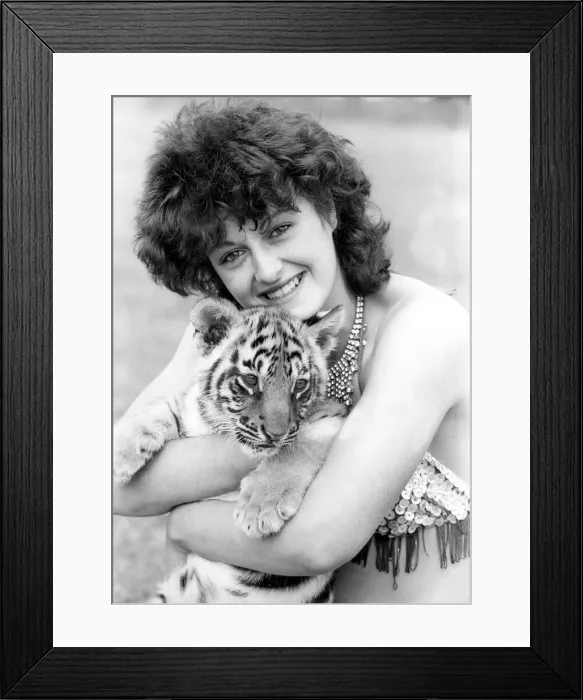 Framed Print : Claire Kevin and Tara the tiger cub at Gandleys Circus Framed Print : Claire Kevin and Tara the tiger cub at Gandleys Circus