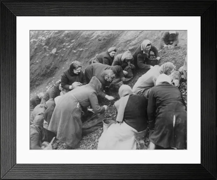 Framed Print : Women with buckets, bags and sacks scrounge for pieces of coal amongst the slag Framed Print : Women with buckets, bags and sacks scrounge for pieces of coal amongst the slag
