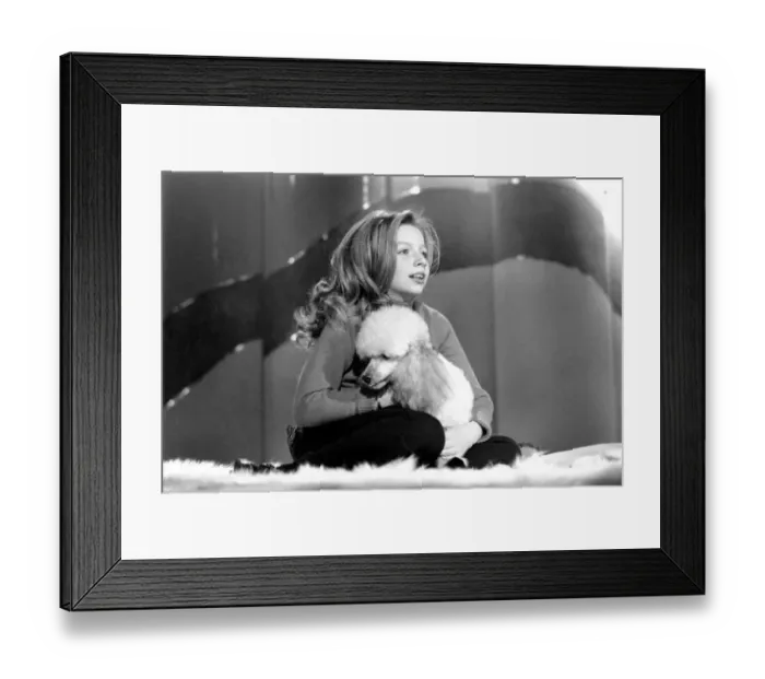Framed Print : Lena Zavaroni in the Bachelors Show. Lena Zavaroni 10 yrs old has a school lesson in Framed Print : Lena Zavaroni in the Bachelors Show. Lena Zavaroni 10 yrs old has a school lesson in