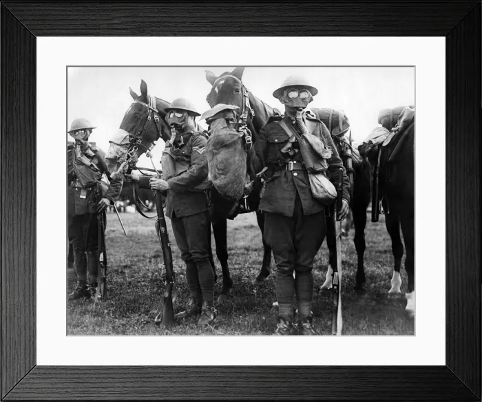 Framed Print : Army Efficiency Tests. Horses and men in gas masks. September 1917