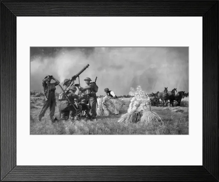 Framed Print : Soldiers with a Lewis Gun defend a farmer and his crops in Kent during the harvest Framed Print : Soldiers with a Lewis Gun defend a farmer and his crops in Kent during the harvest