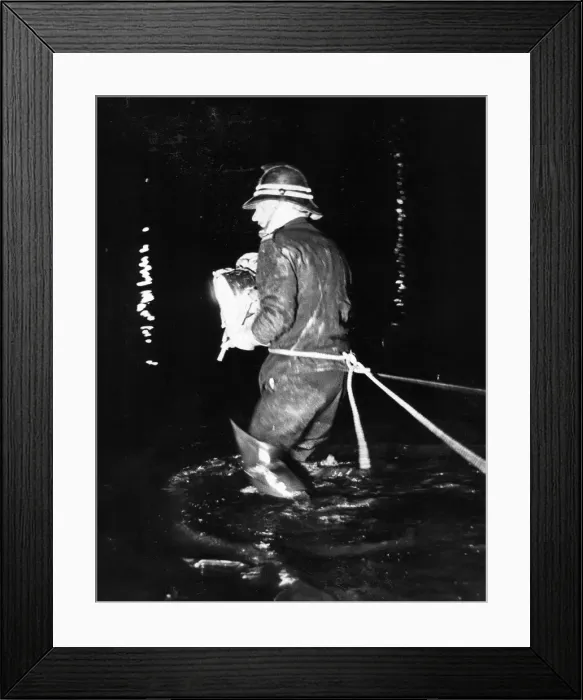 Framed Print : A firefighter scans the water looking for the stolen car which was driven into the river Framed Print : A firefighter scans the water looking for the stolen car which was driven into the river