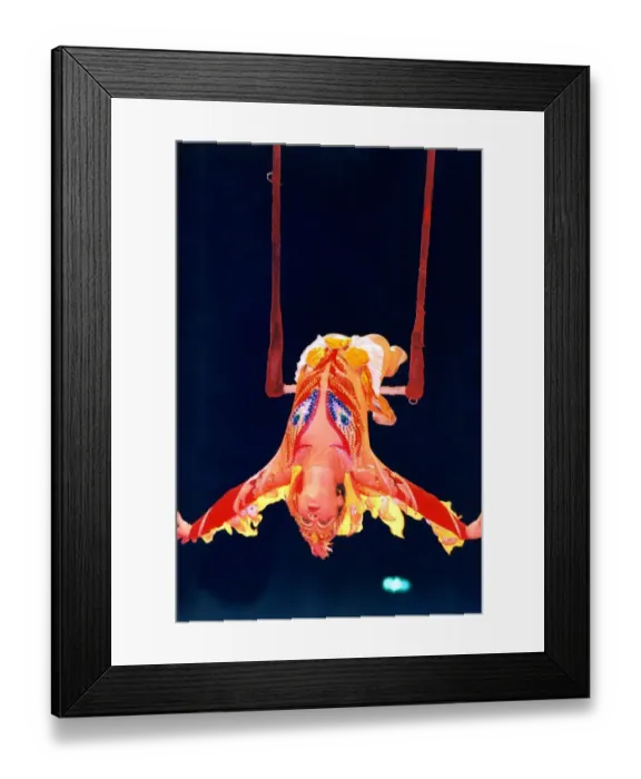 Framed Print : A trapeze artist performing at the Russian State Circus Framed Print : A trapeze artist performing at the Russian State Circus